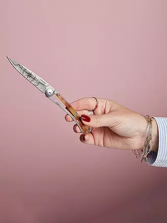 DEEJO | Taschenmesser Schildpattoptik Hochglanz TERRA INCGNITA 37G | 
